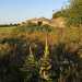 Il paesaggio  puntellato da trulli e masserie "abitati" solo da pipistrelli